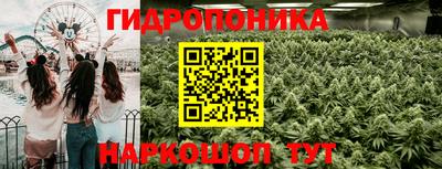 гашик Ачхой-Мартан